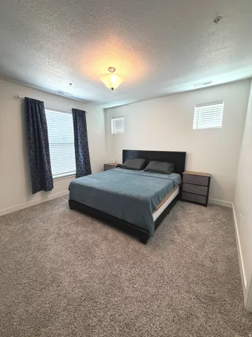 Expansive room with neutral carpeting, multiple windows for natural light, and a ceiling-mounted light fixture
