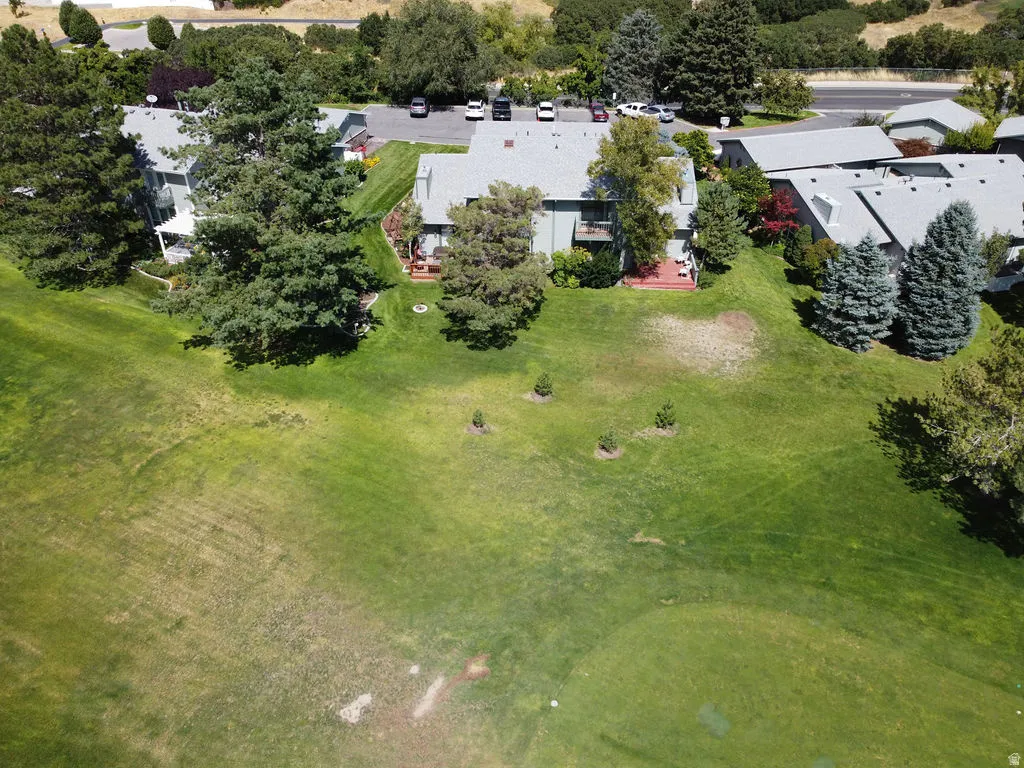 Expansive green space with mature trees