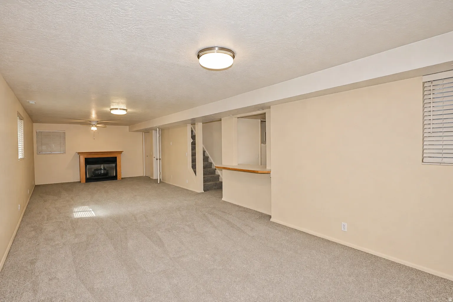 Large basement with kitchenette
