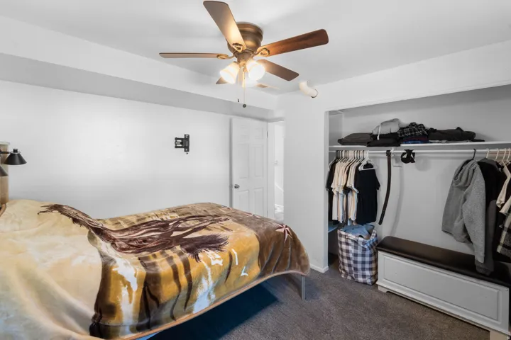 Recessed closet with a built-in shelf and hanging rod, overhead ceiling fan with lighting, and gray carpet