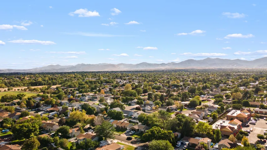 Expansive residential area featuring numerous mature trees and distant mountain ranges