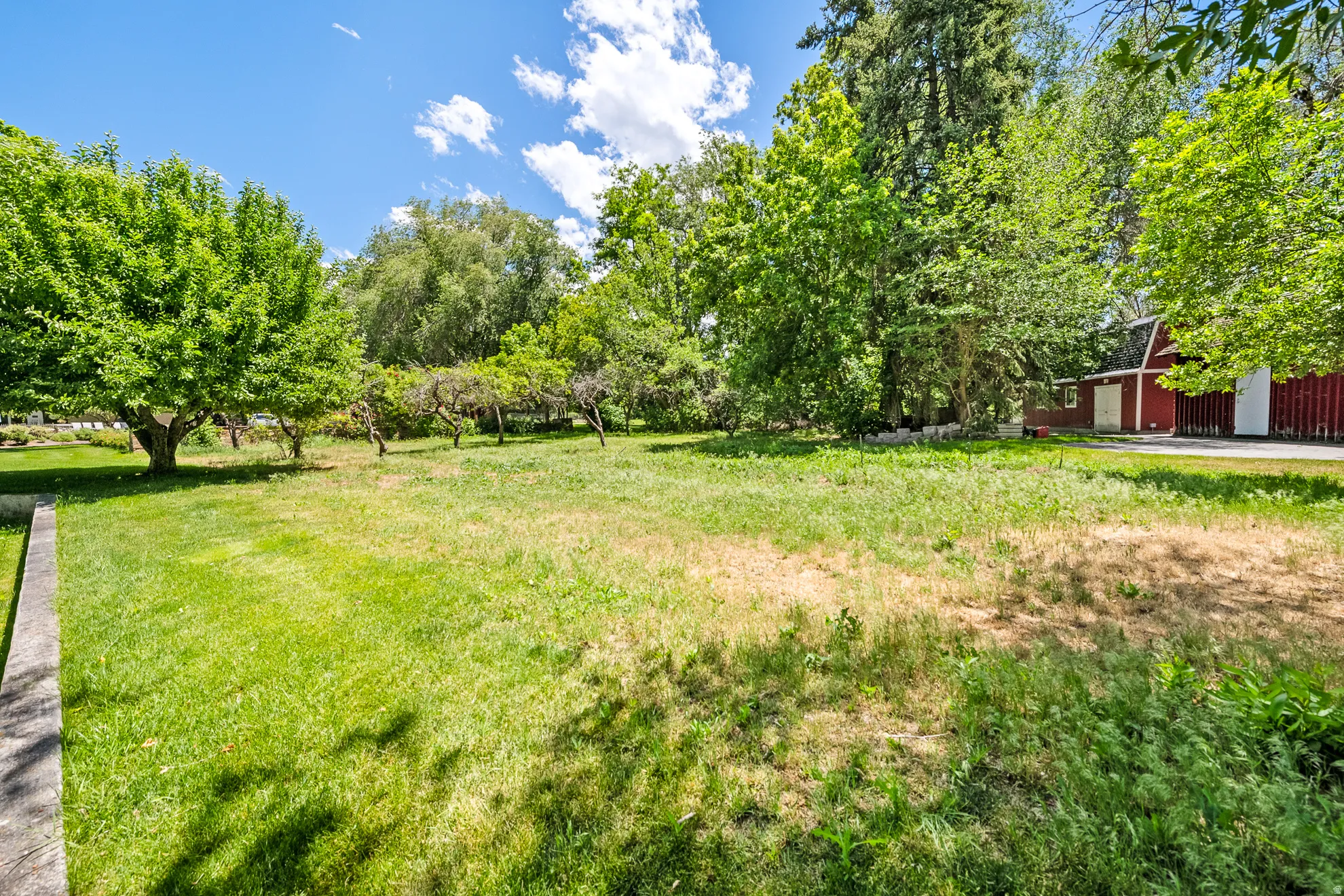 Expansive green space featuring a variety of mature trees and a red outbuilding with white double doors