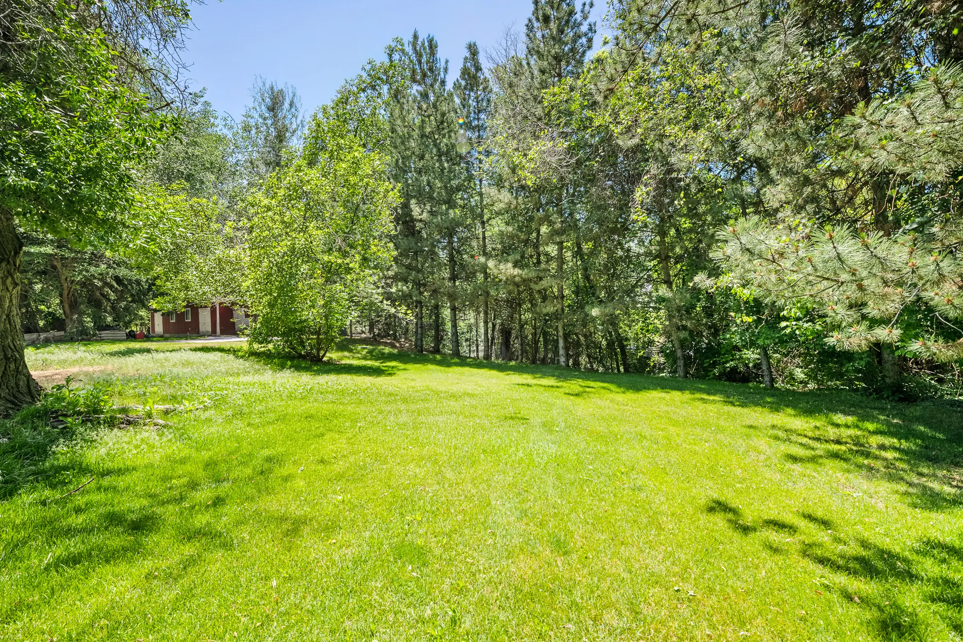 Expansive green lawn with mature trees and a red-sided structure in the background