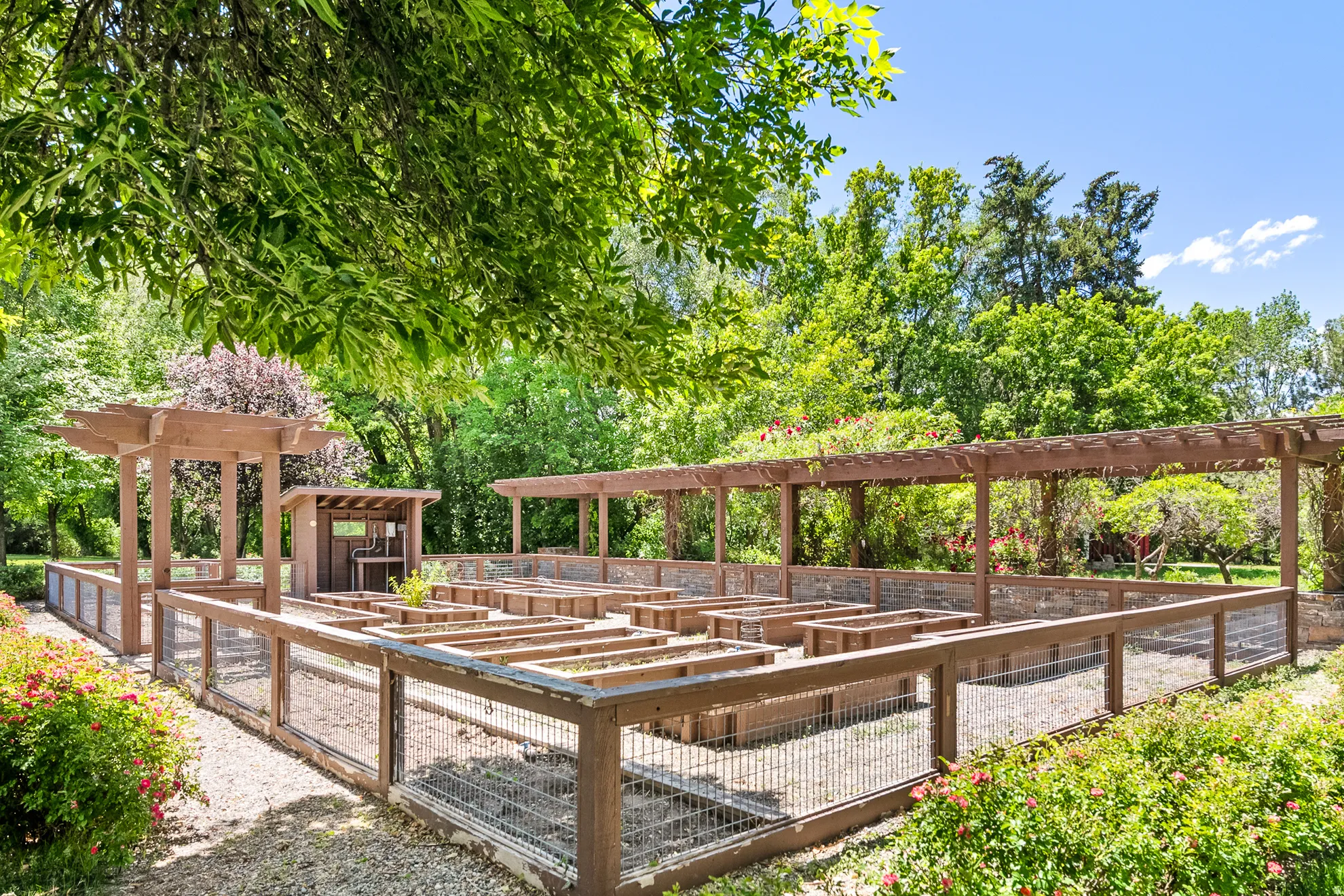 Expansive garden area featuring multiple wood-framed raised garden beds, a gravel ground cover, and surrounding mature foliage