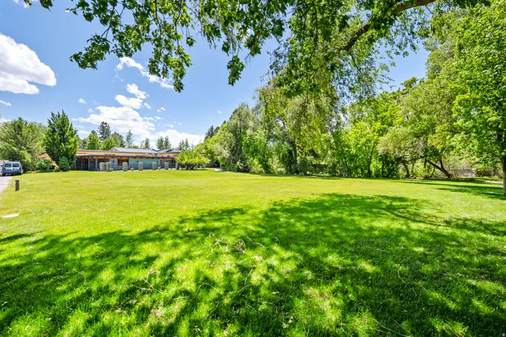 Expansive green lawn with mature perimeter trees, providing natural shade