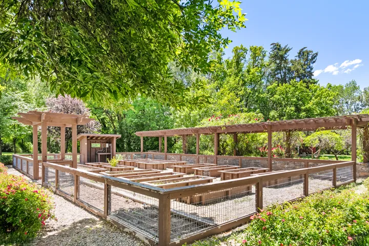 Expansive garden area featuring multiple wood-framed raised garden beds, a gravel ground cover, and surrounding mature foliage