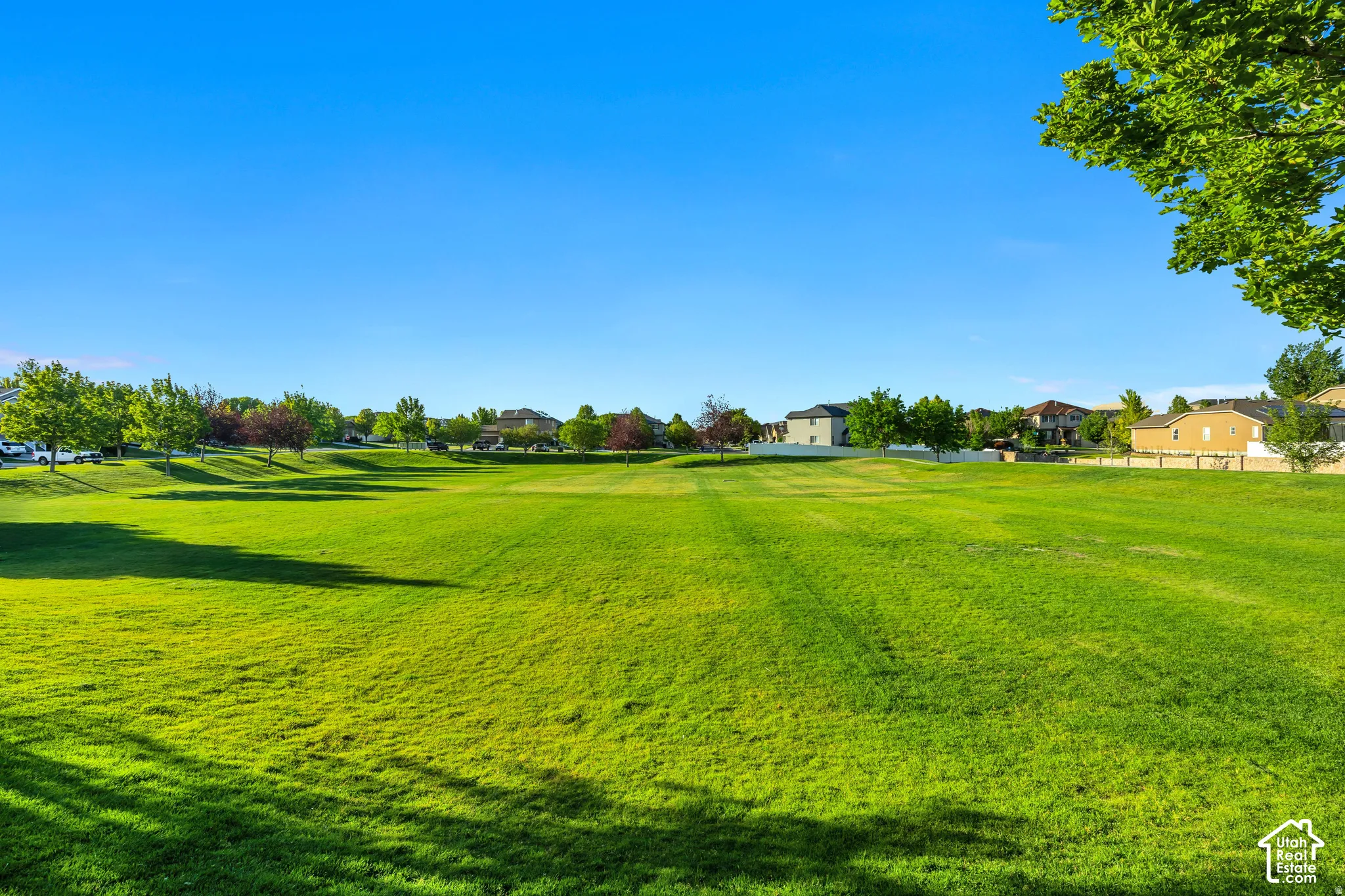 Expansive green space with mature trees