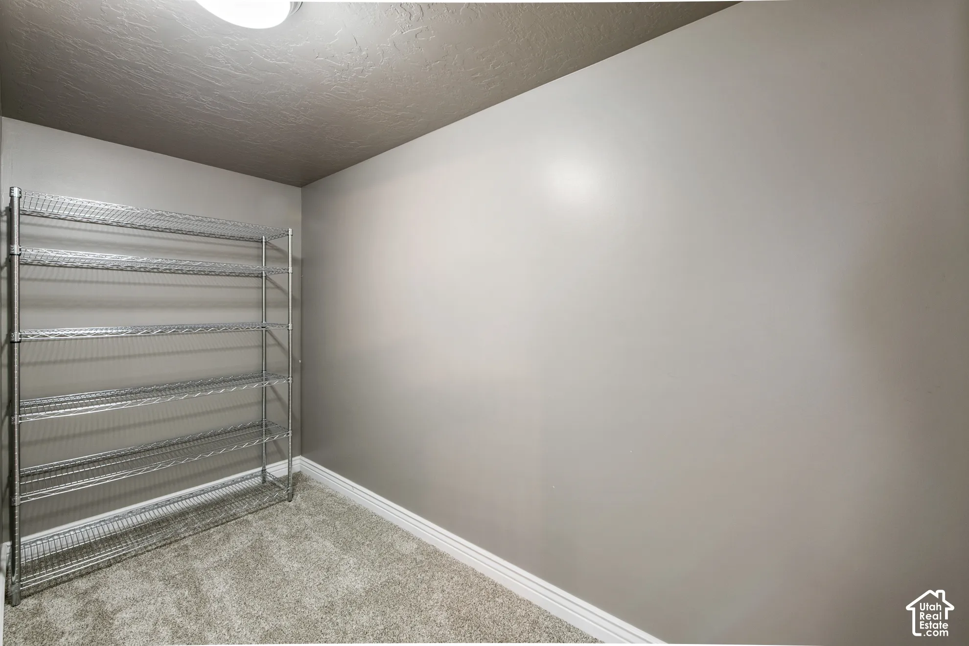 Carpeted room featuring a metal shelving unit, light gray walls, and a ceiling-mounted light fixture