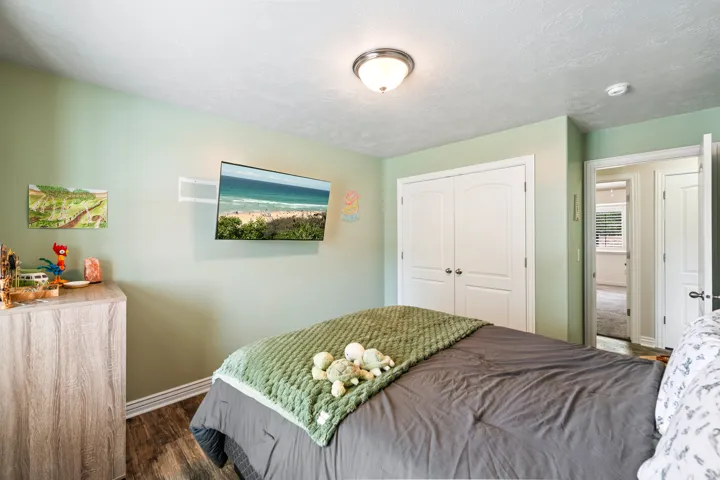 Wood-finish flooring with white baseboards, recessed lighting, and a built-in closet with double doors