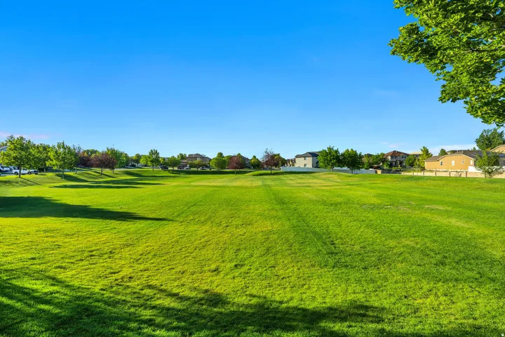 Expansive green space with mature trees