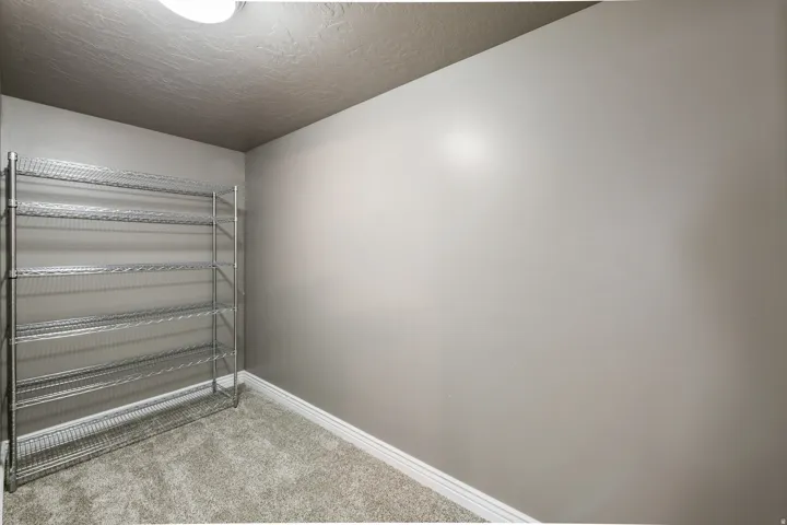 Carpeted room featuring a metal shelving unit, light gray walls, and a ceiling-mounted light fixture
