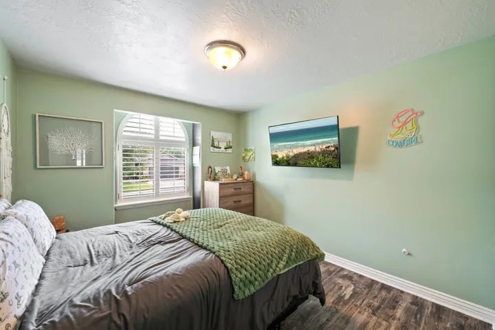 Arched window with plantation shutters, wood-finish flooring, flush mount ceiling light, and light green painted walls