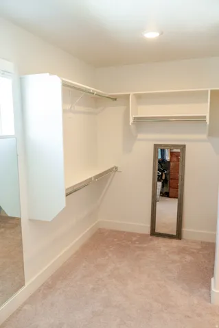 Built-in shelving, hanging rods, recessed lighting, and soft pile carpeting