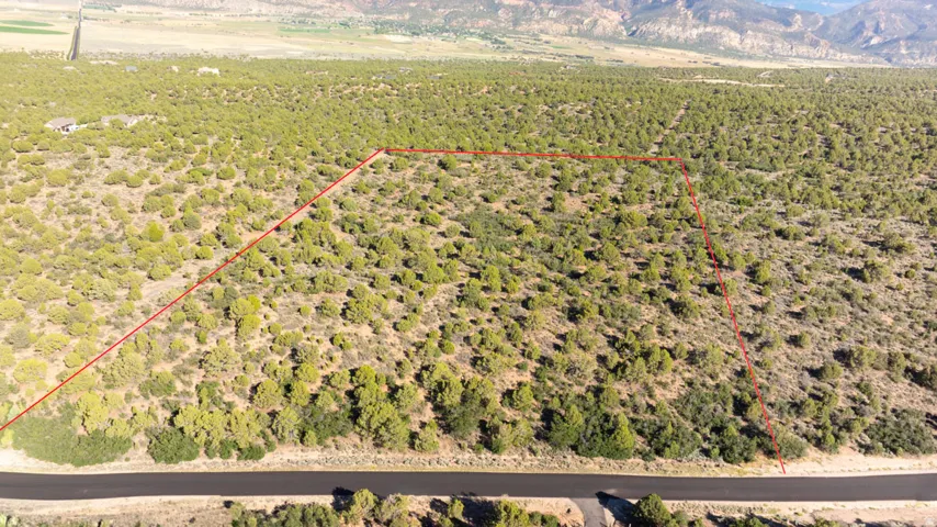 Expansive undeveloped land featuring natural vegetation and a paved road frontage