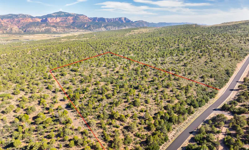 Expansive undeveloped land with natural vegetation, adjacent to a paved road, featuring a distant mountain backdrop