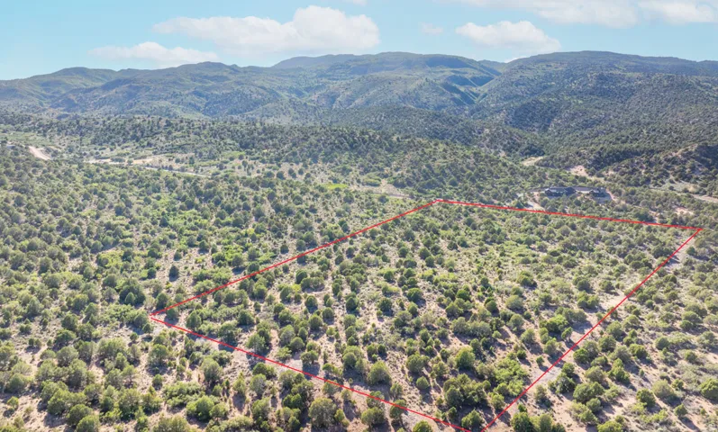 Expansive undeveloped lot featuring diverse natural vegetation and a mountainous backdrop