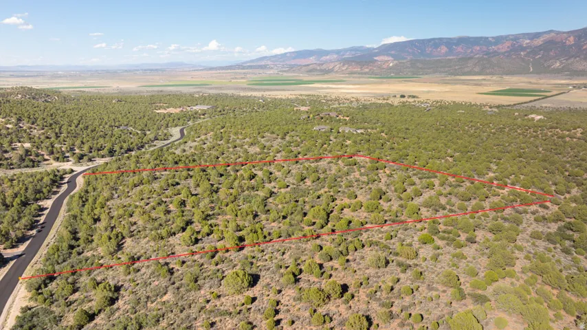 Expansive undeveloped acreage featuring varied topography, mature natural vegetation, and distant mountain backdrops