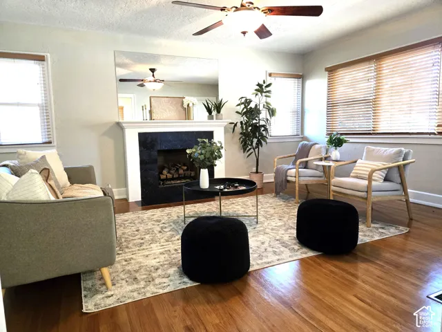 Fireplace with dark stone surround, wood-finish flooring, ceiling fan, and large wall-mounted mirror