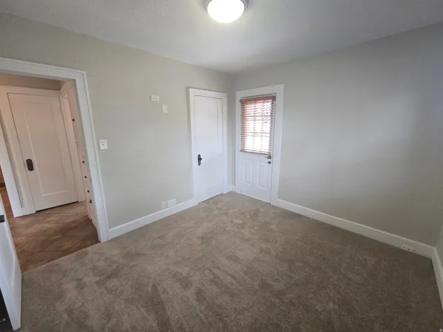 Neutral wall paint, carpet flooring, a single overhead light fixture, and white trim