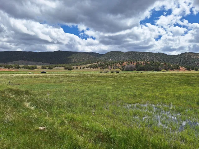 Expansive green field with natural water features and distant wooded hills
