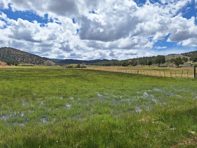 Expansive open field with green ground cover and natural water features