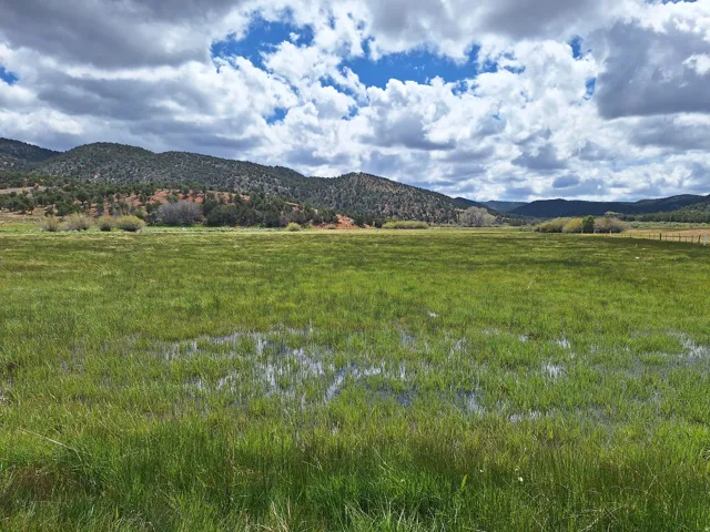 Expansive green pasture with natural water features, bordered by foothills and distant mountains
