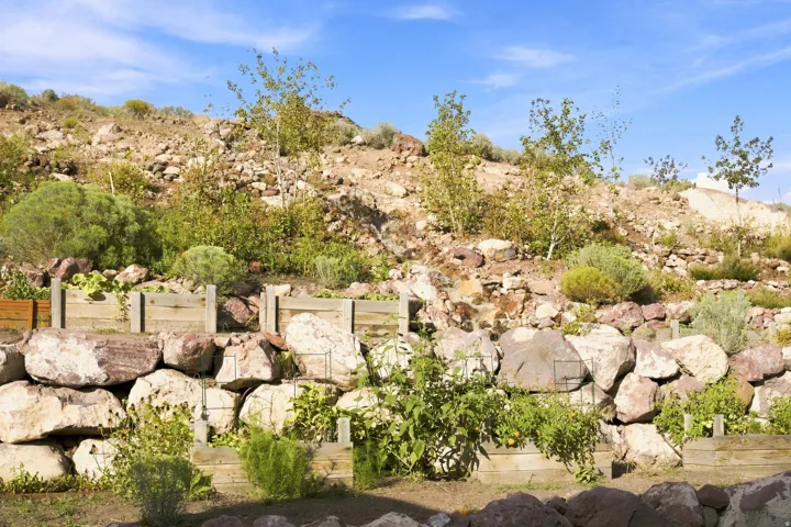 Terraced landscaping featuring multiple raised garden beds, a natural rock retaining wall, and established plantings