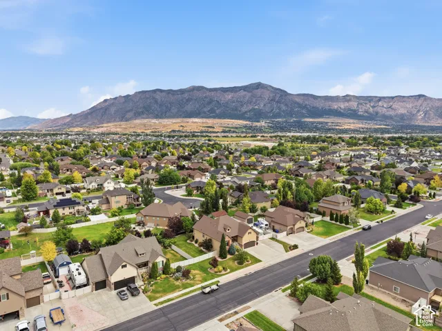 Established residential area with abundant mature trees and expansive mountain scenery