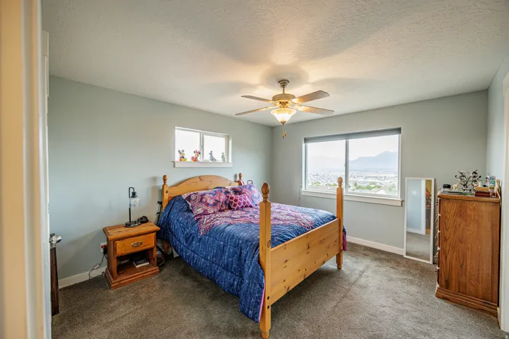 Carpeted room featuring a ceiling fan with integrated lighting, multiple windows, and light-colored walls