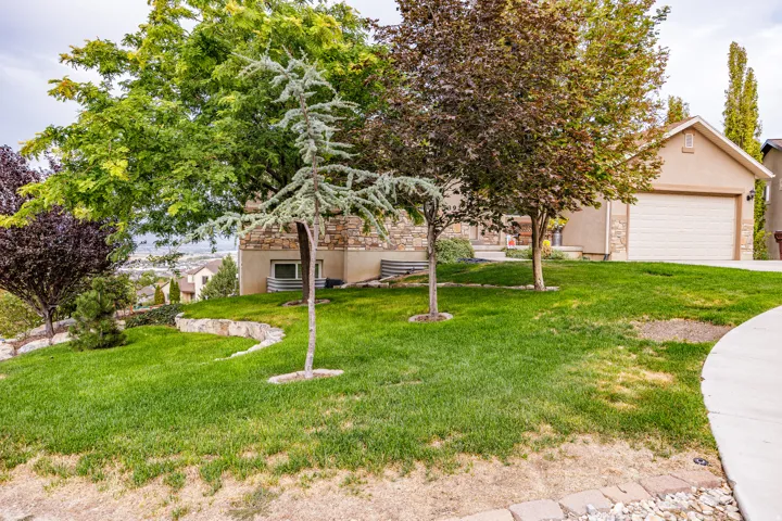 Landscaped front yard with mature trees, a stone retaining wall, and a concrete driveway