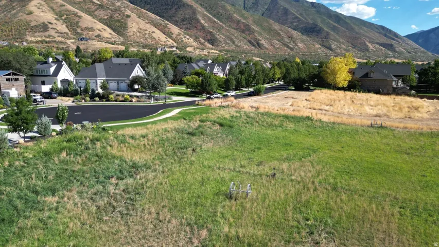 Expansive open land with varied green and golden vegetation, set against a backdrop of mountains