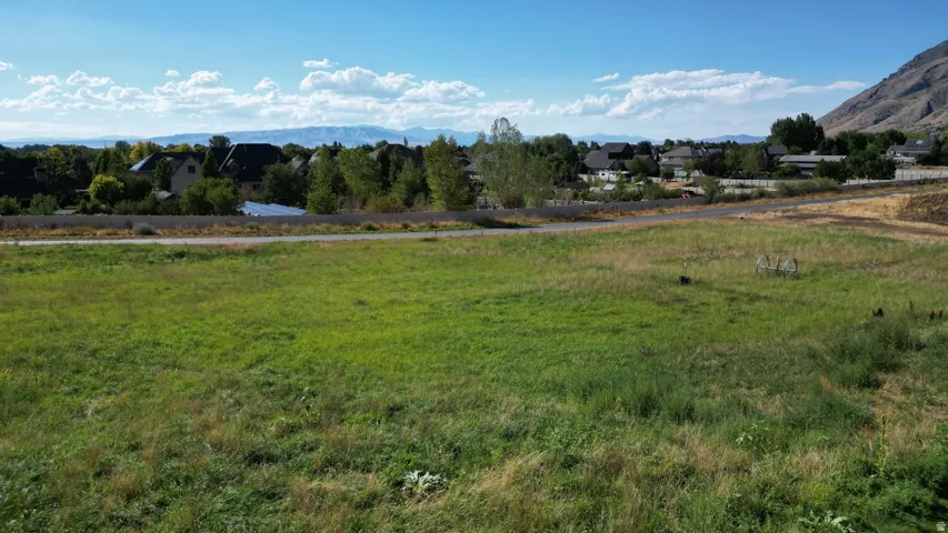 Expansive open field with natural vegetation, bordered by a paved road