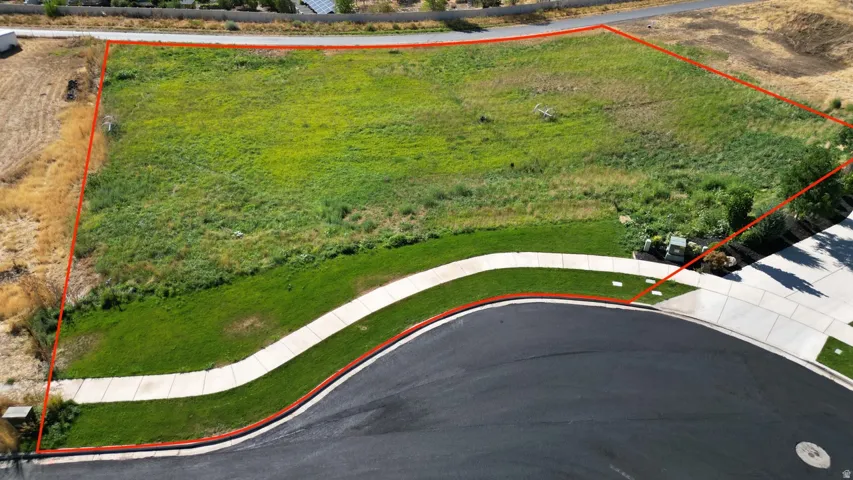 Grassed parcel with a curved sidewalk and asphalt street frontage