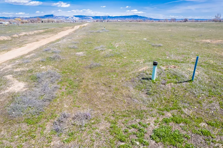 Expansive grassy terrain with a dirt path and a distant mountain range