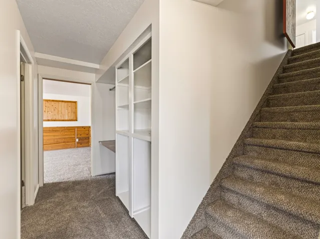 Carpeted staircase with white risers, built-in shelving, wood-paneled wall, and carpeted flooring