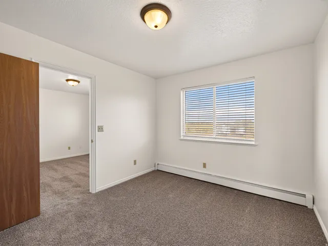 Window with horizontal blinds, wall-to-wall carpeting, wood-finish door, and ceiling-mounted light fixture