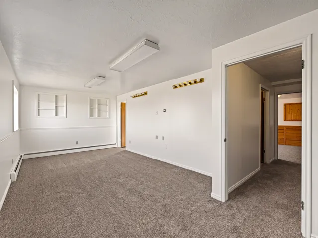 Carpeted room with white walls, two built-in wall shelves, and an overhead fluorescent light fixture