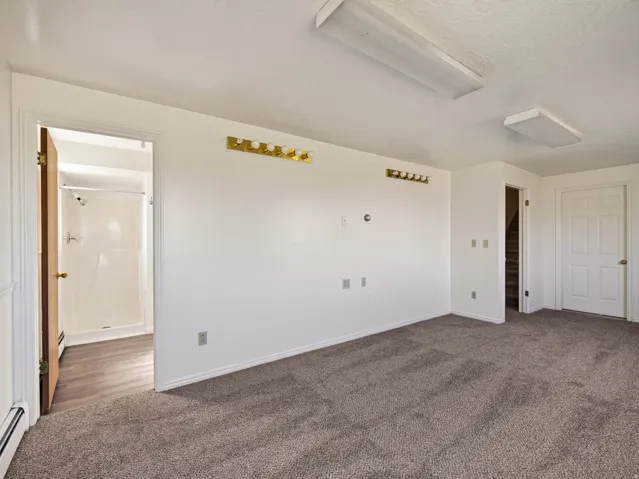 Wall-to-wall carpeting with contrasting baseboards, an adjacent full bathroom featuring a stand-up shower and wood-finish flooring, and overhead fluorescent lighting fixtures