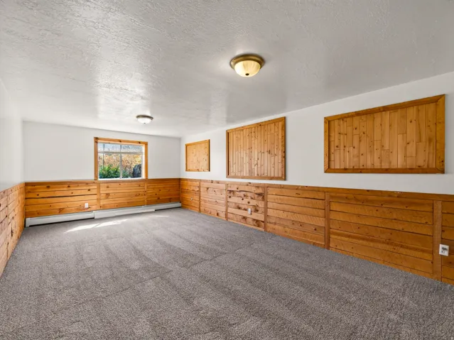 Spacious room featuring textured carpeting and wood-paneled walls