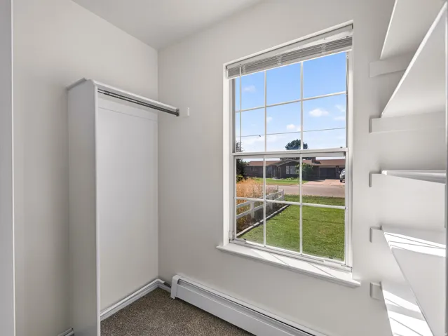 Window with grid patterns, built-in shelving, hanging rod, and carpeted flooring