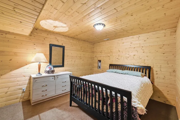 Wood-paneled walls and ceiling, wall-mounted lighting fixture, and carpet flooring
