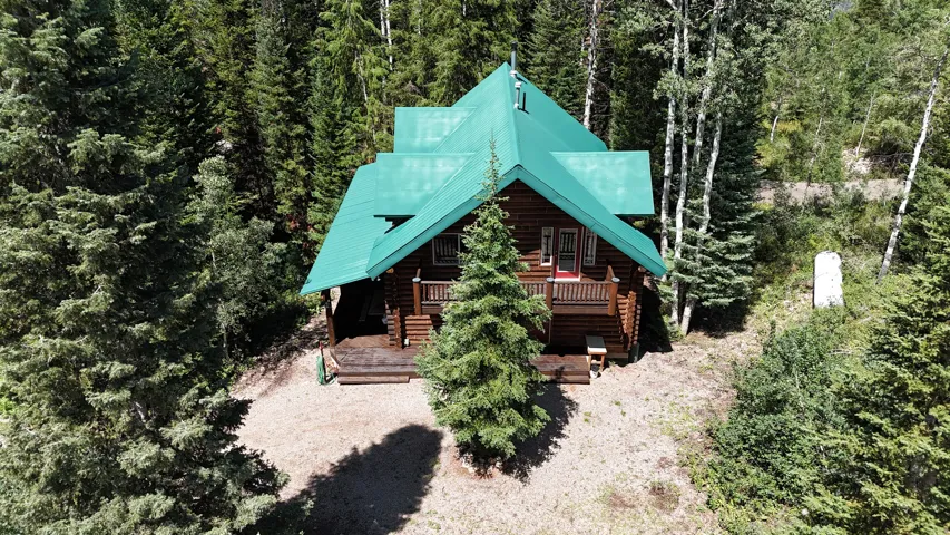 Log cabin exterior with a green metal roof, a wrap-around porch, and surrounding mature evergreen trees