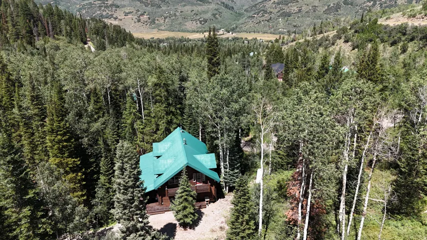 Log cabin exterior with a green metal roof, surrounded by mature conifer and deciduous trees