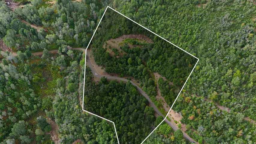 Expansive wooded parcel featuring a natural terrain