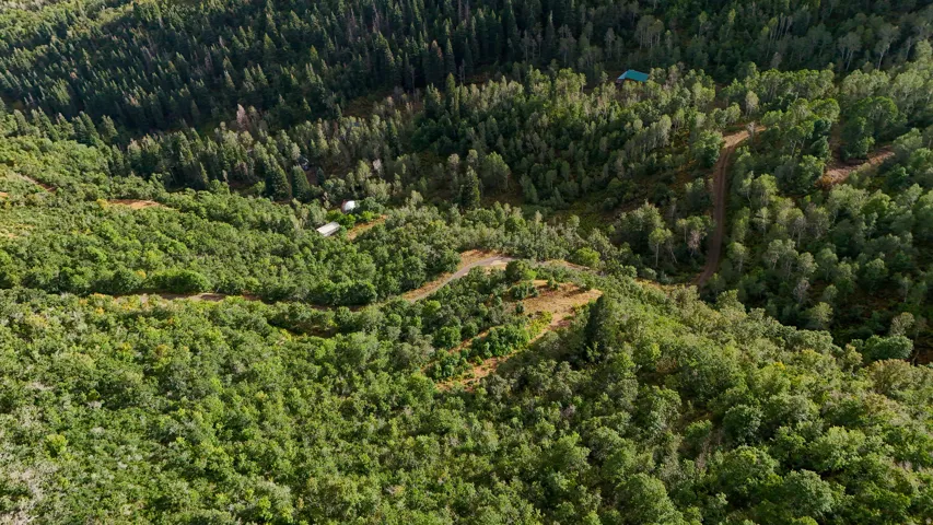 Extensive wooded terrain with multiple clearings and winding unpaved paths