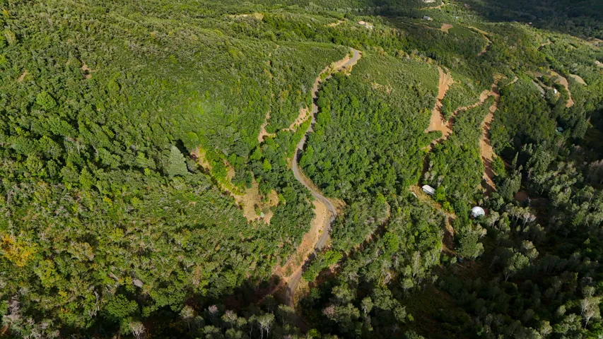 Expansive wooded terrain with a winding dirt road and two dome structures