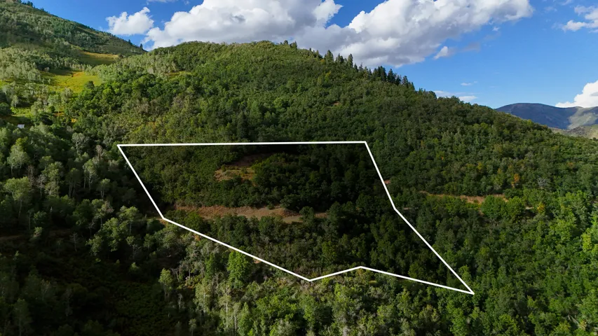 Mountainous terrain with dense tree coverage and distant peaks