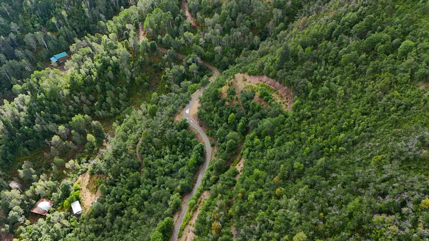 Extensive wooded terrain with a winding, unpaved road