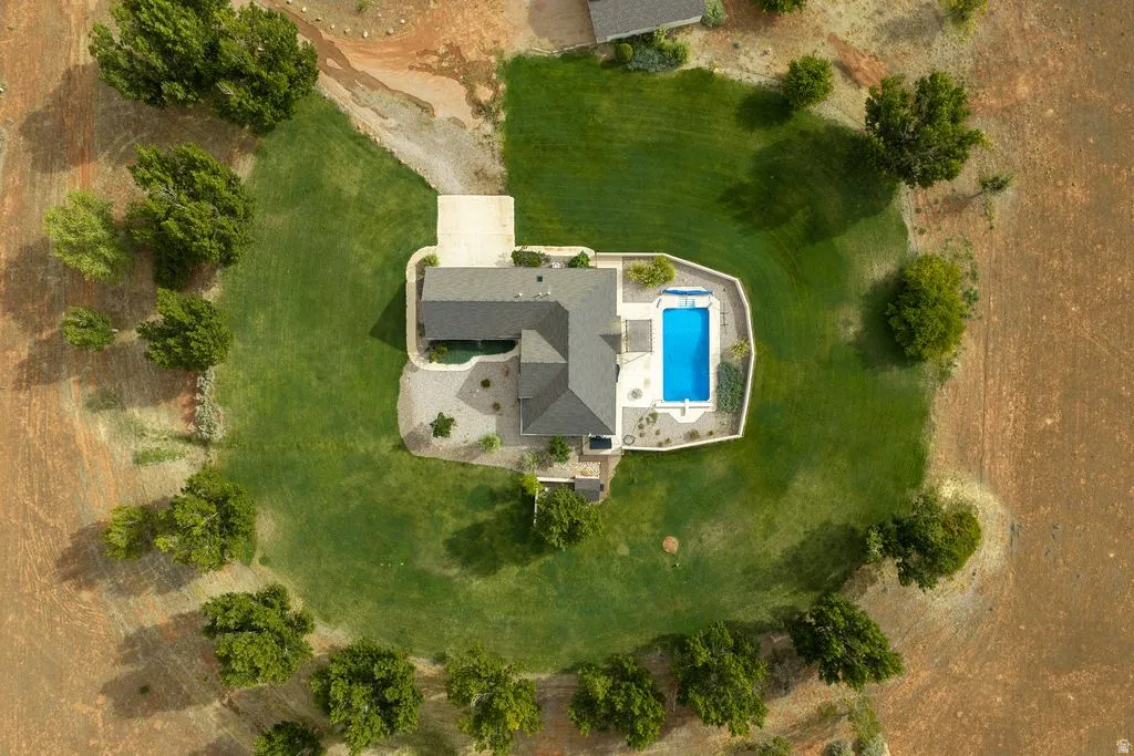 Expansive grounds featuring a manicured lawn, inground swimming pool, concrete patio surround, and mature trees