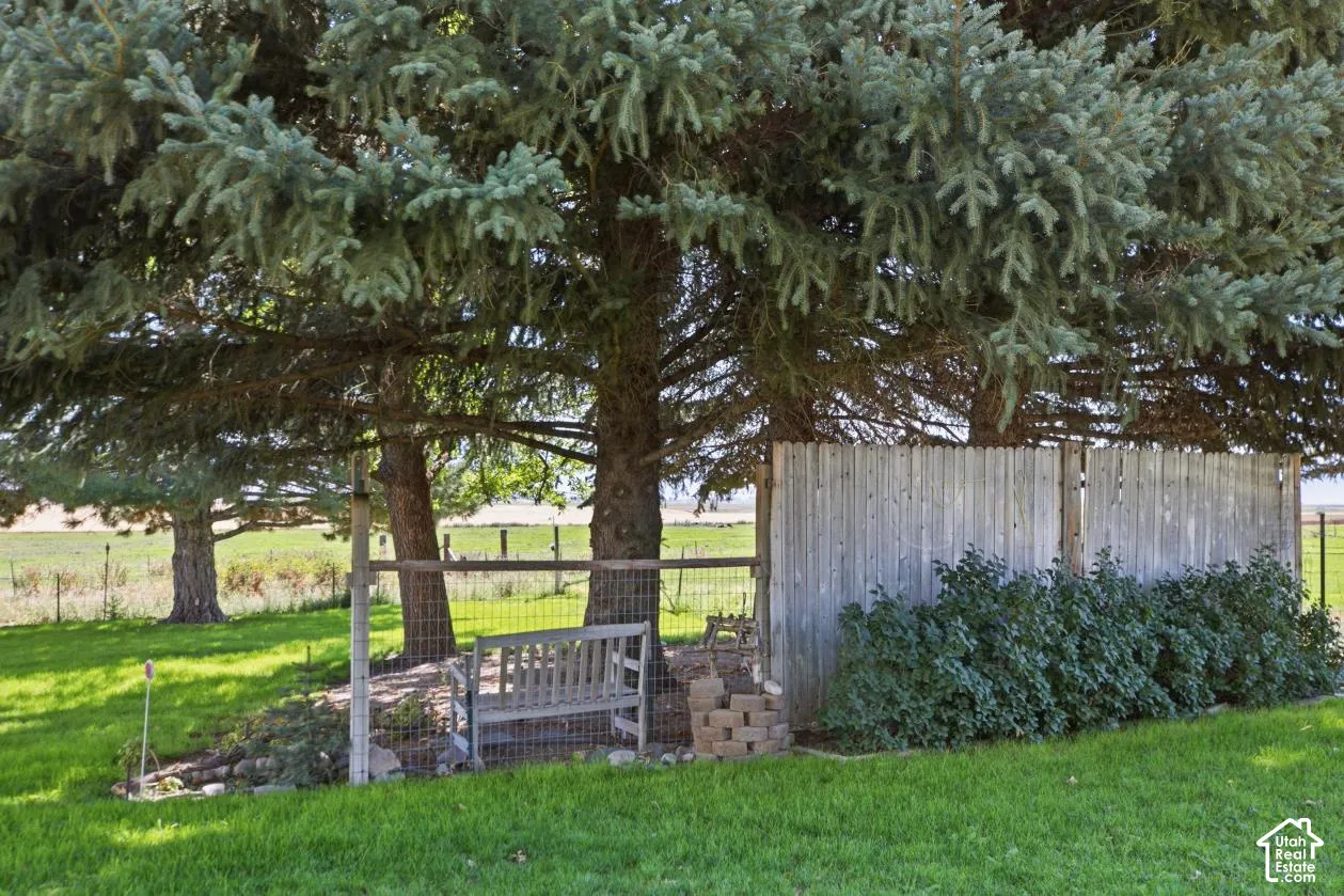 Mature evergreen trees providing natural shade, wood-panel fencing, and established ground cover
